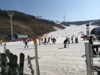 자유게시판 - 오늘은 에덴