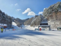 보드장소식 - 용평 골드 아침 소식~^^