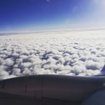 자유게시판 - 뭉실뭉실 (2)