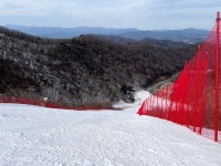 보드장소식 - 2022. 2. 28. (월) 용평 주간후기 입니다.~