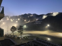 보드장소식 - 오크밸리 소식