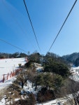 보드장소식 - 2월 8일 비발디 오후