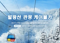 보드장소식 - 용평 곤돌라 소식