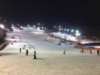 보드장소식 - 2017/1/17 화요일 양지 야간