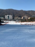 보드장소식 - 2/3 비발디 주간