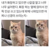 펀글게시판 - 맘에안듬