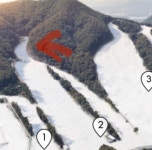 자유게시판 - 2월 17일 지산스키장 2,3번 슬로프 카드지갑 분실했습니다ㅠ