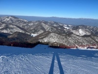 보드장소식 - 2024. 2. 12. (월) 용평 주간후기 입니다.~