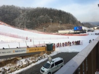 보드장소식 - 강촌입니다