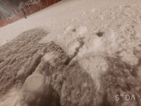 자유게시판 - 이곳이 강촌입니다