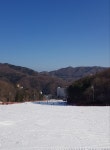 보드장소식 - 휘팍단신(오전)