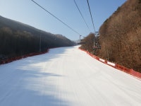 자유게시판 - 2월말에서~ 3월초 하욘설질이 잊혀지지가않네요 ㅎㅎ
