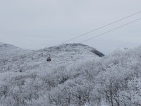 보드장소식 - 하이원은 관광이죠