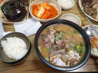 자유게시판 - 아우내 삼거리