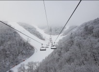 보드장소식 - 무주 설천 상황