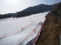 보드장소식 - 지산 새벽~오전~오후