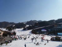 보드장소식 - 오늘 오크에 다녀왔어요. (^^)