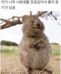 펀글게시판 - 사회생활웃음