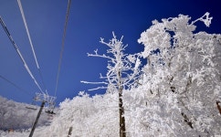 일반사진첩 - 무주 설천상단 스케치_2015. 02. 19.