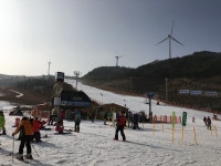 보드장소식 - 오전 11시 에덴밸리