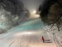 보드장소식 - 용평 야간