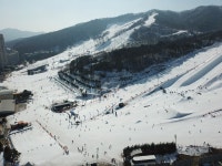 자유게시판 - 오늘의 휘닉스파크 (드론)