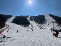 보드장소식 - 2022. 1. 20. (일) 용평 주간후기 입니다.~