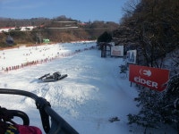 보드장소식 - 비발디(파크장)