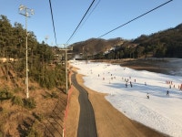 보드장소식 - 오크밸리입니다!