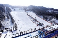 보드장소식 - 양지 파인리조트 상황