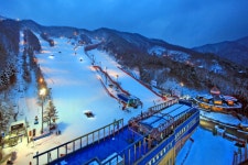 보드장소식 - 양지 파인리조트 상황