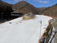 보드장소식 - 오투 소식