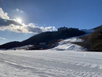 보드장소식 - 오투 소식