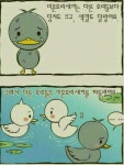 펀글게시판 - 미운 오리 새끼