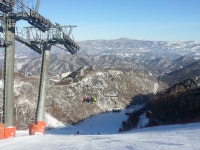 보드장소식 - 용평단신(골드)