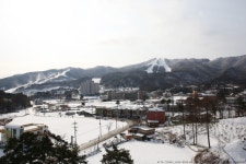 시즌방,동호회 - 휘닉스파크 시즌방/코업 스위트 하우스 (휘팍 자가용 3분거리, 셔틀 있음)