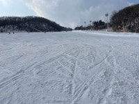 보드장소식 - 지산 오전