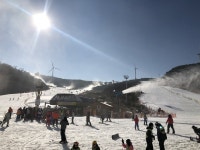 보드장소식 - 에덴벨리 오전 상황
