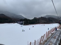 보드장소식 - 무주 설질이..