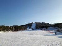 보드장소식 - 12월 1일 용평 오후 소식