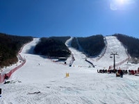 보드장소식 - 2022. 2. 5. (토) 용평 오후후기입니다~