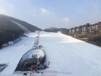 보드장소식 - 2016. 1. 4. 용평 실시간(수정)