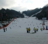 보드장소식 - 1월 6일 화요일 비발디 현재 오전 10시 20분