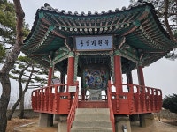 주말 나들이 > 자유 게시판(유머,잡담) - 하드웨어 배틀(Hardware Battle)