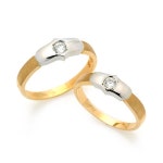 -아이비골드- 아이비골드