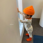  ♬ 이쁘맘- 엄마라면 소보루)미니미실내복나무,당근