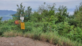 Synap Document Viewer