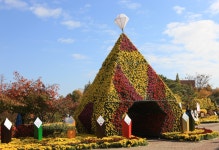 열린마당 > 축제갤러리