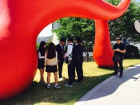 게시판 > 갤러리 | 상담복지학부