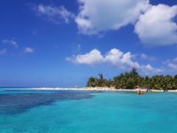 일동맘 - ILDONGMOM